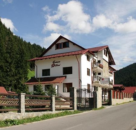 Pensiunea La Turcu Moeciu De Sus Exterior foto