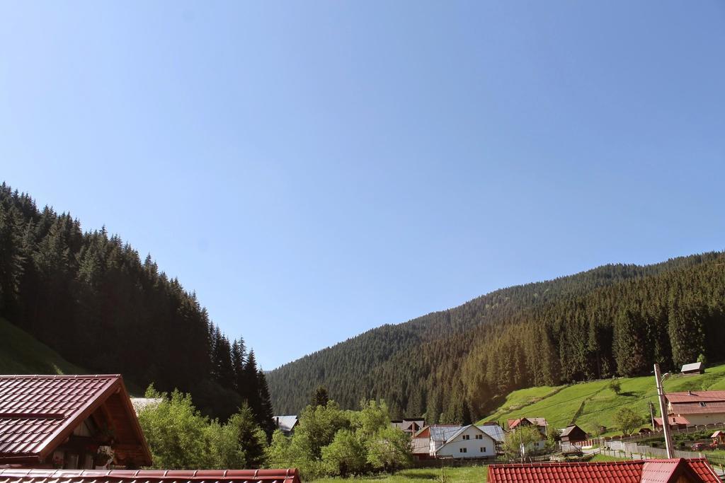 Pensiunea La Turcu Moeciu De Sus Exterior foto