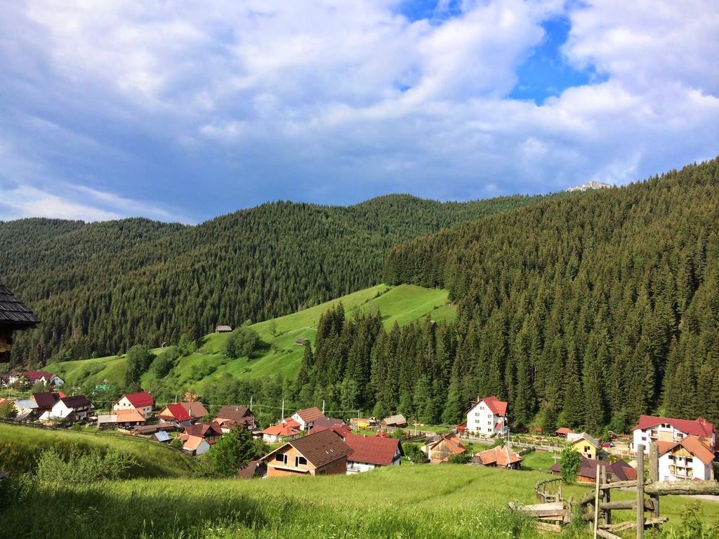 Pensiunea La Turcu Moeciu De Sus Exterior foto