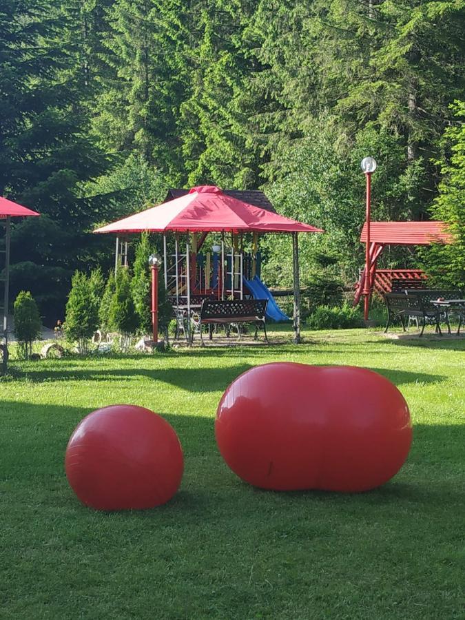 Pensiunea La Turcu Moeciu De Sus Exterior foto